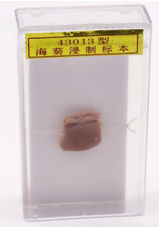 ?？麡吮?>

                        </div>

                        <div class=
